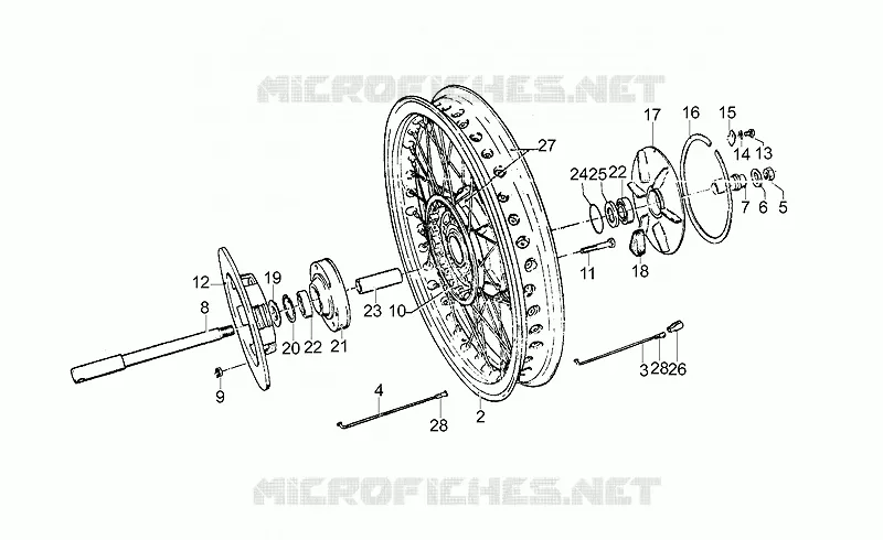 Rear wheel, spokes