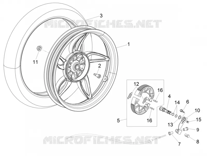 Rear wheel - drum brake