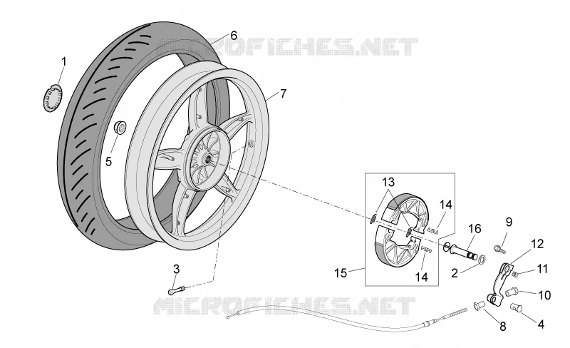 Rear wheel - drum brake