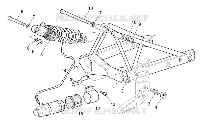 Swing arm and rear shock absorber