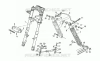 Front/rear shock absorber