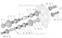 Driven shaft