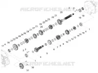 Versnellingsbak - Gear assembly