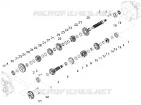 Versnellingsbak - Gear assembly