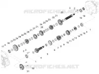 Versnellingsbak - Gear assembly