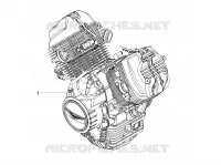 MOTOR - SCHAKELPEDAAL - TANDWIEL