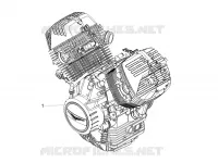 MOTOR - SCHAKELPEDAAL - TANDWIEL
