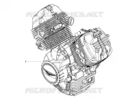 MOTOR - SCHAKELPEDAAL - TANDWIEL