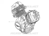 MOTOR - SCHAKELPEDAAL - TANDWIEL